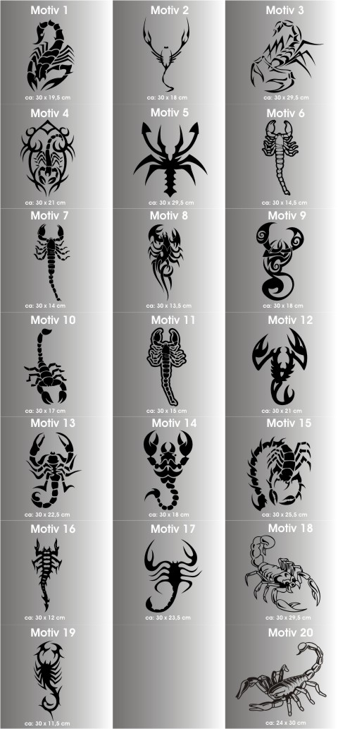skorpion aufkleber scorpion sticker