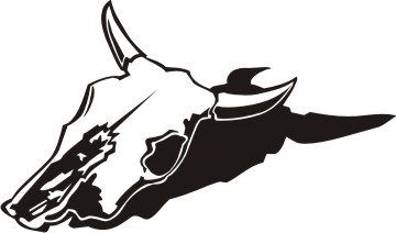 cow Skull totenkopf
