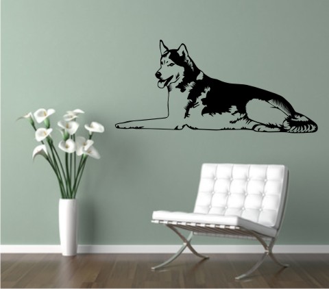 wandtattoo husky 01dr hund